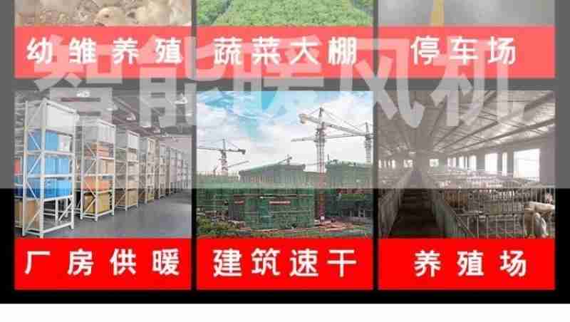 5月5日,《日落大道》团队成员畅游武汉,在黄鹤楼前手持黄鹤楼雪糕打卡拍照。(湖北日报全媒记者 何宇欣 实习生 李昕蓉 摄)